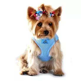 American River Ultra Choke-Free Mesh Dog Harness - Light Blue