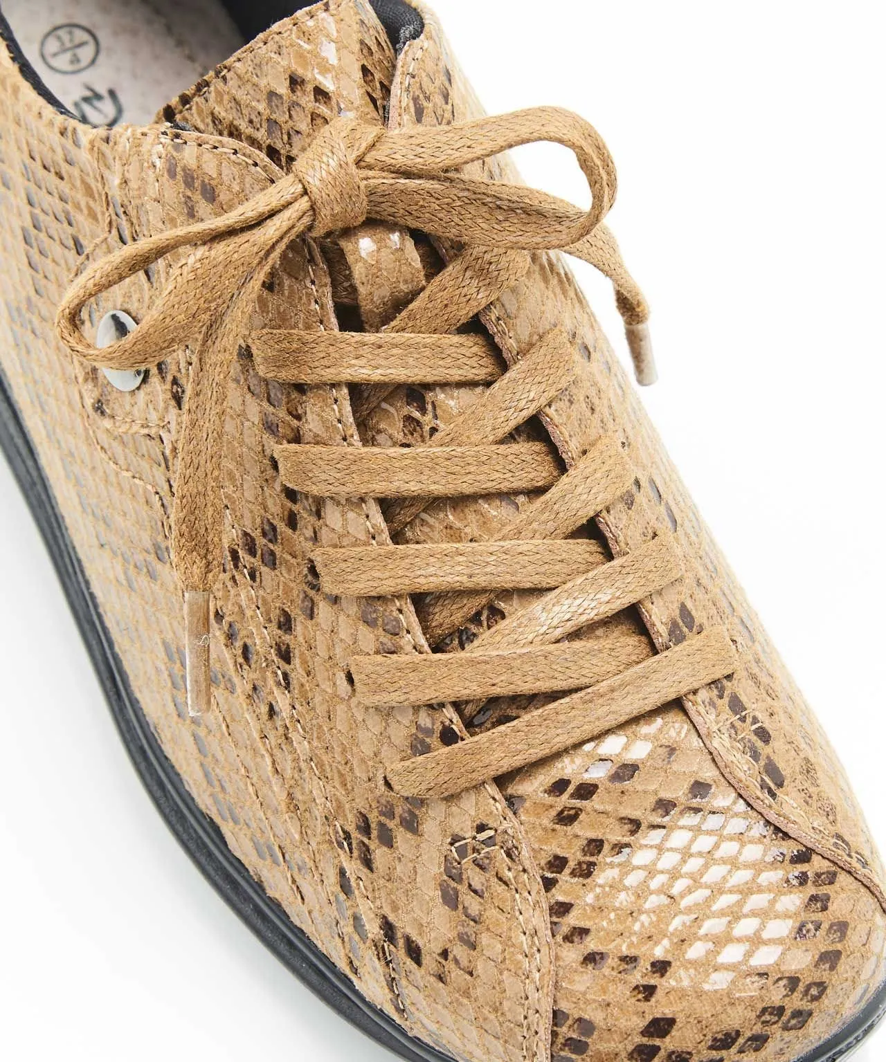 Lace-up Shoe